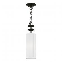  42981-04 - 1 Light Black Mini Pendant