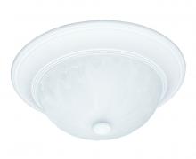  6-13264-13-80 - 2-Light Ceiling Light in Matte White