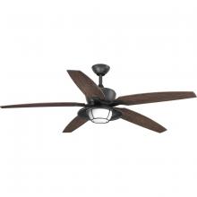  P2564-8030K - Montague Collection 60" Indoor/Outdoor Five-Blade Ceiling Fan