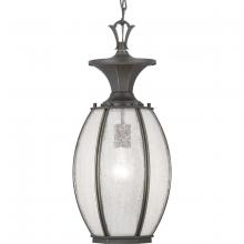  P550034-020 - P550034-020 1 100W MED HANGING LANTERN