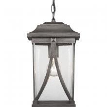  P550040-103 - Abbott Collection One-Light Hanging Lantern