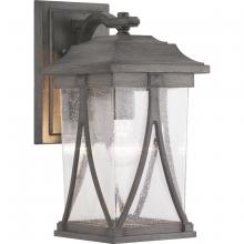  P560114-103 - Abbott Collection One-Light Medium Wall Lantern