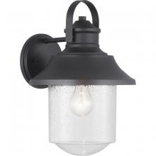  P560121-031 - Weldon Collection One-Light Large Wall Lantern