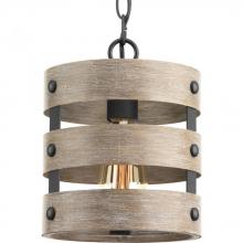  P500022-143 - Gulliver Collection One-Light Graphite Coastal Pendant Light