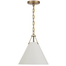  XAV-B8301-VG - Xavier 1 Light Vibrant Gold Mini Pendant