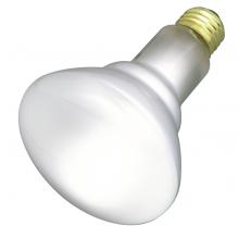 Flood Bulbs