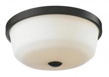  411F3 - 3 Light Flush Mount