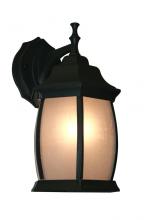  T20-BK-F - 1 Light Outdoor Wall Light