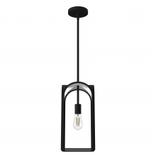  19738 - Hunter Dukestown Natural Black Iron and Silver Leaf 1 Light Mini Pendant Ceiling Light Fixture