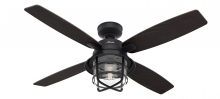 Hunter 50391 - Hunter 52 inch Port Royale Natural Black Iron Damp Rated Ceiling Fan with LED Light Kit