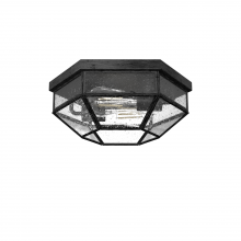  19115 - Hunter Indria Rustic Iron with Seeded Glass 2 Light Flush Mount Ceiling Light Fixture