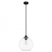  19512 - Hunter Xidane Matte Black with Clear Glass 1 Light Pendant Ceiling Light Fixture