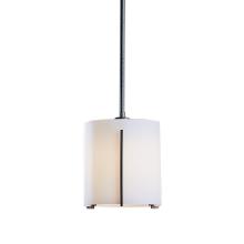  187660-SKT-MULT-20-GG0137 - Exos Large Mini Pendant