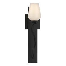  203030-SKT-10-GG0303 - Flora Sconce