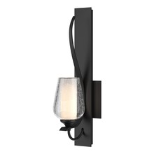  203035-SKT-10-ZS0354 - Flora Sconce