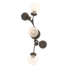  206050-SKT-05-WF0629 - Sprig Sconce