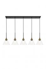  LD4017D48BRB - Histoire 5 Light Brass and Black Pendant