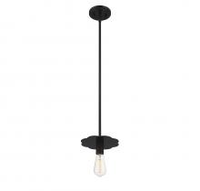  M70113MBK - 1-Light Mini Pendant in Matte Black