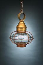  2522-AB-MED-CLR - Caged Onion Hanging Antique Brass Medium Base Socket Clear Glass