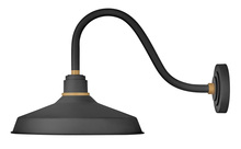  10443TK - Medium Gooseneck Barn Light